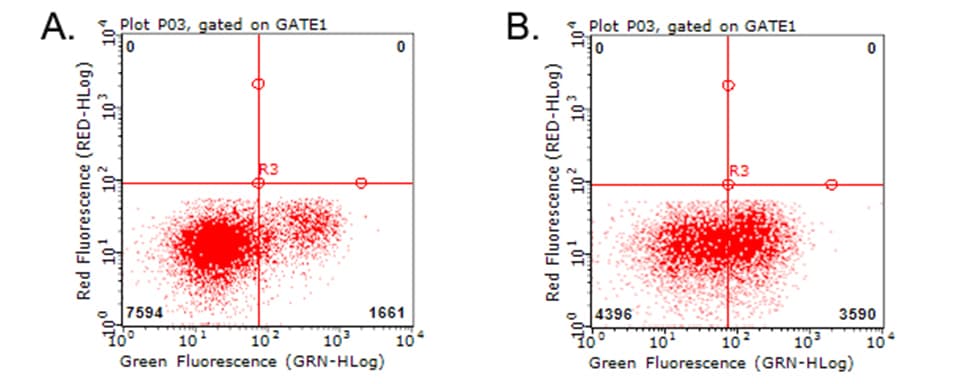 HAVCR2 / TIM-3 Antibody (clone OTI6E5)