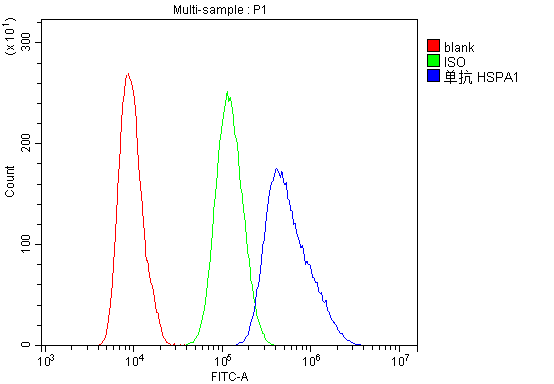 HSPA1A Antibody