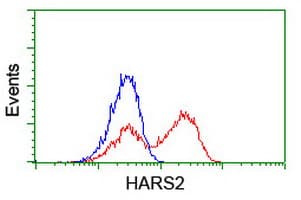 HARS2 Antibody (clone OTI6F9, Carrier-free)