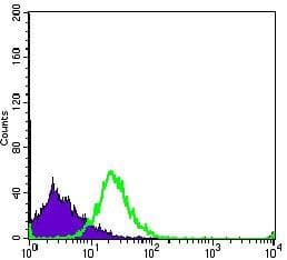 Monoclonal Mouse anti-Human PCNA Antibody (clone 7H4F8, Amino Acid: 53-196, IHC, WB)