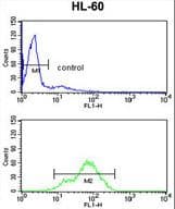 BAHD1 Antibody (aa750-777)