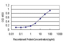 HERC3 Antibody (clone 2C1)