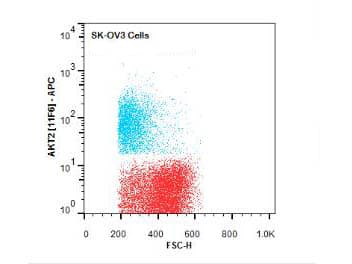 AKT2 Antibody (Internal, clone 11F6.B2, APC)