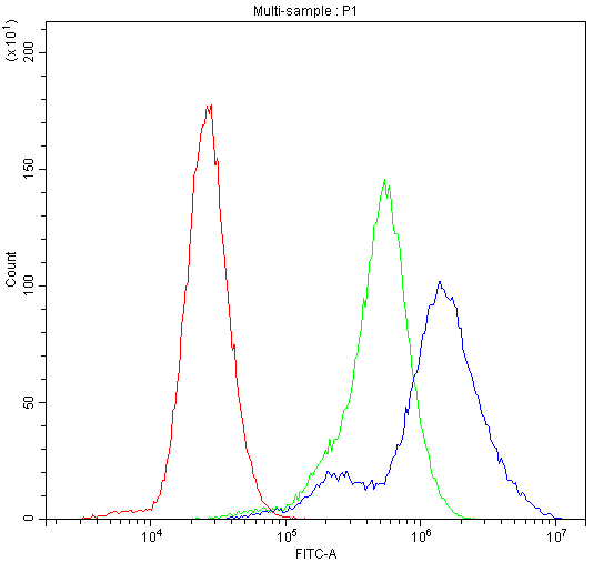 ACLY / ATP Citrate Lyase Antibody