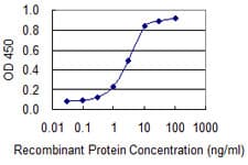 Monoclonal Mouse anti-Human CD66c / CEACAM6 Antibody (clone 1G2, IF, WB)