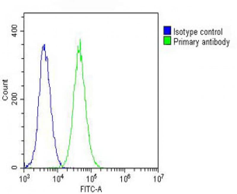 PFN1 / Profilin 1 Antibody