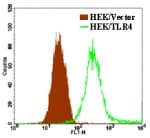 Monoclonal Mouse anti-Human TLR4 Antibody (clone HTA125, FITC)