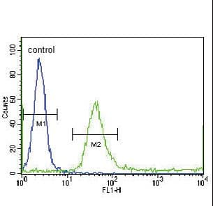 Polyclonal Rabbit anti-Human IGFBP4 Antibody (aa66-92, WB)