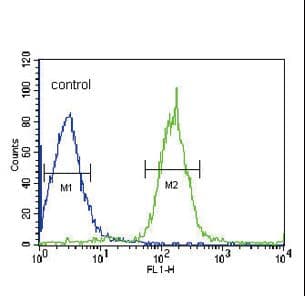 Polyclonal Rabbit anti-Human PLA2G6 / IPLA2 Antibody (aa551-580, IHC, IF, WB)