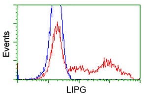 LIPG / Endothelial Lipase Antibody (clone OTI4D2, Carrier-free)