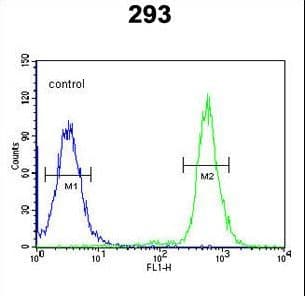 A2ML1 Antibody (aa345-373)