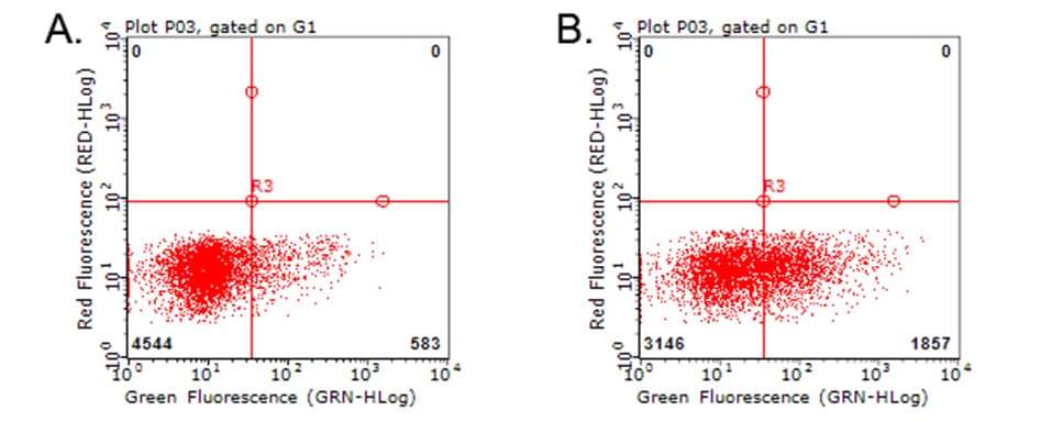 TNFRSF4 / CD134 / OX40 Antibody (clone OTI2B7)