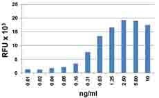 Mouse CCL19 / MIP3-Beta Protein (Recombinant)