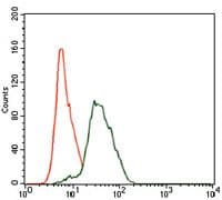TWF1 / PTK9 Antibody (Amino Acid: 335-384, clone 7C11)