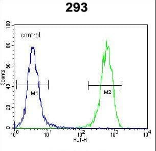 TWF2 / PTK9L Antibody (aa28-57)