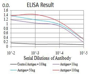 NCAM / CD56 Antibody (clone 5G5G1)