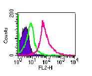 Polyclonal Rabbit anti-Mouse TLR3 Antibody (aa135-150, IHC, WB)