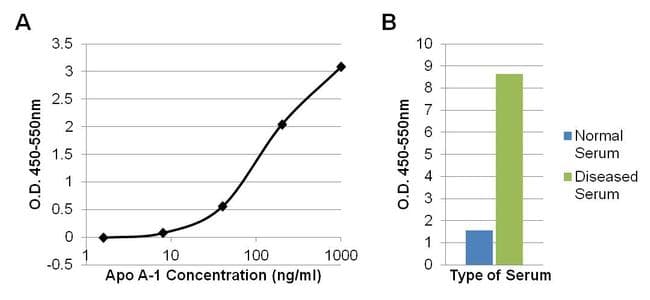APOA1 / Apolipoprotein A 1 Antibody (clone 6001)