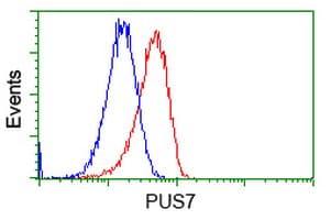 PUS7 Antibody (clone OTI4C6, Carrier-free)