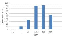 Mouse CXCL11 Protein (Recombinant)