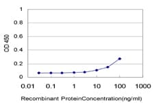 CNO Antibody (clone 6C3)