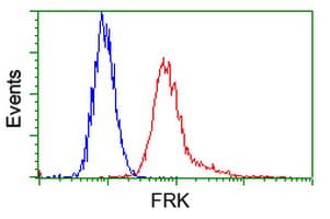 FRK Antibody (clone OTI5F3)