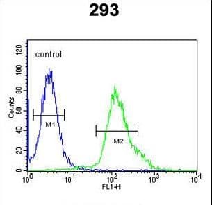 FGFBP3 Antibody (aa181-210)
