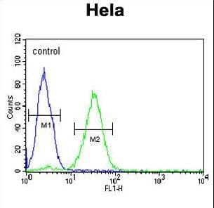 CREM / ICER Antibody (aa287-314)