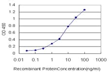POLR2H / RPB8 Antibody (clone 3G6-1A4)