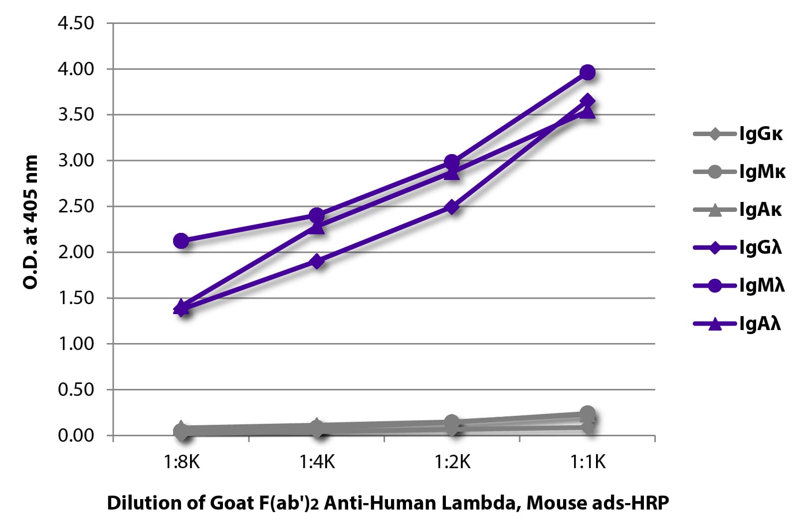 Goat Anti-Human IgG Secondary Antibody (HRP)