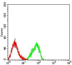 KIR2DL4 Antibody (clone 2E3E12)