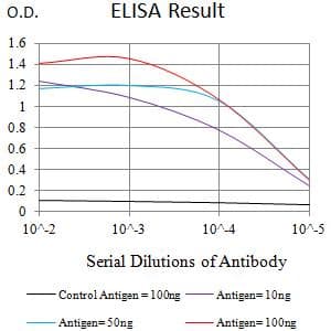 TNFRSF18 / GITR Antibody (clone 6H8B9)