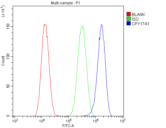 Polyclonal Rabbit anti-Human CYP17 / CYP17A1 Antibody (IHC, WB)