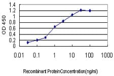 NCAPD2 Antibody (clone 4C12)