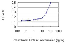 RNH1 Antibody (clone 3F5)