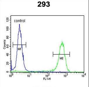 IHC-plus™ Polyclonal Rabbit anti-Human KDM7A / JHDM1D Antibody (aa290-316, IHC, WB)