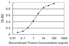 Monoclonal Mouse anti-Human PRGP2 / PRRG2 Antibody (clone 7D1, WB)