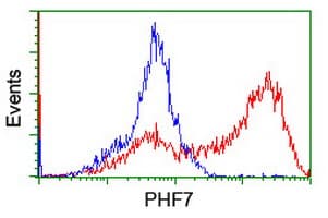 PHF7 Antibody (aa155-381, clone OTI1B4, Carrier-free)