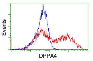 DPPA4 Antibody (clone OTI2F6)