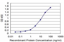 Monoclonal Mouse anti-Human HCLS1 Antibody (clone 2A9, IHC, IF, WB)