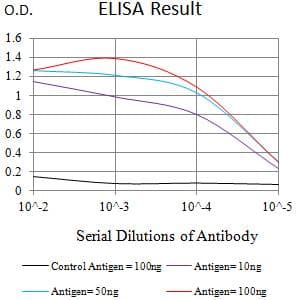 Monoclonal Mouse anti-Human CHRM5 / M5 Antibody (clone 7E5H11, WB)
