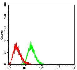 CLEC4D / MCL Antibody (clone 6E4H3)