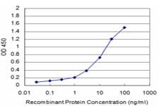 Monoclonal Mouse anti-Human GCSH Antibody (clone 3D8-A12, WB)
