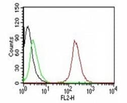 CD63 Antibody (clone SPM524)
