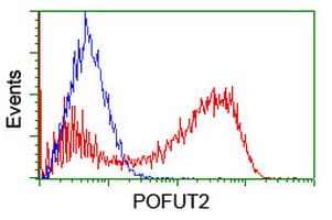 POFUT2 Antibody (clone OTI1A6)