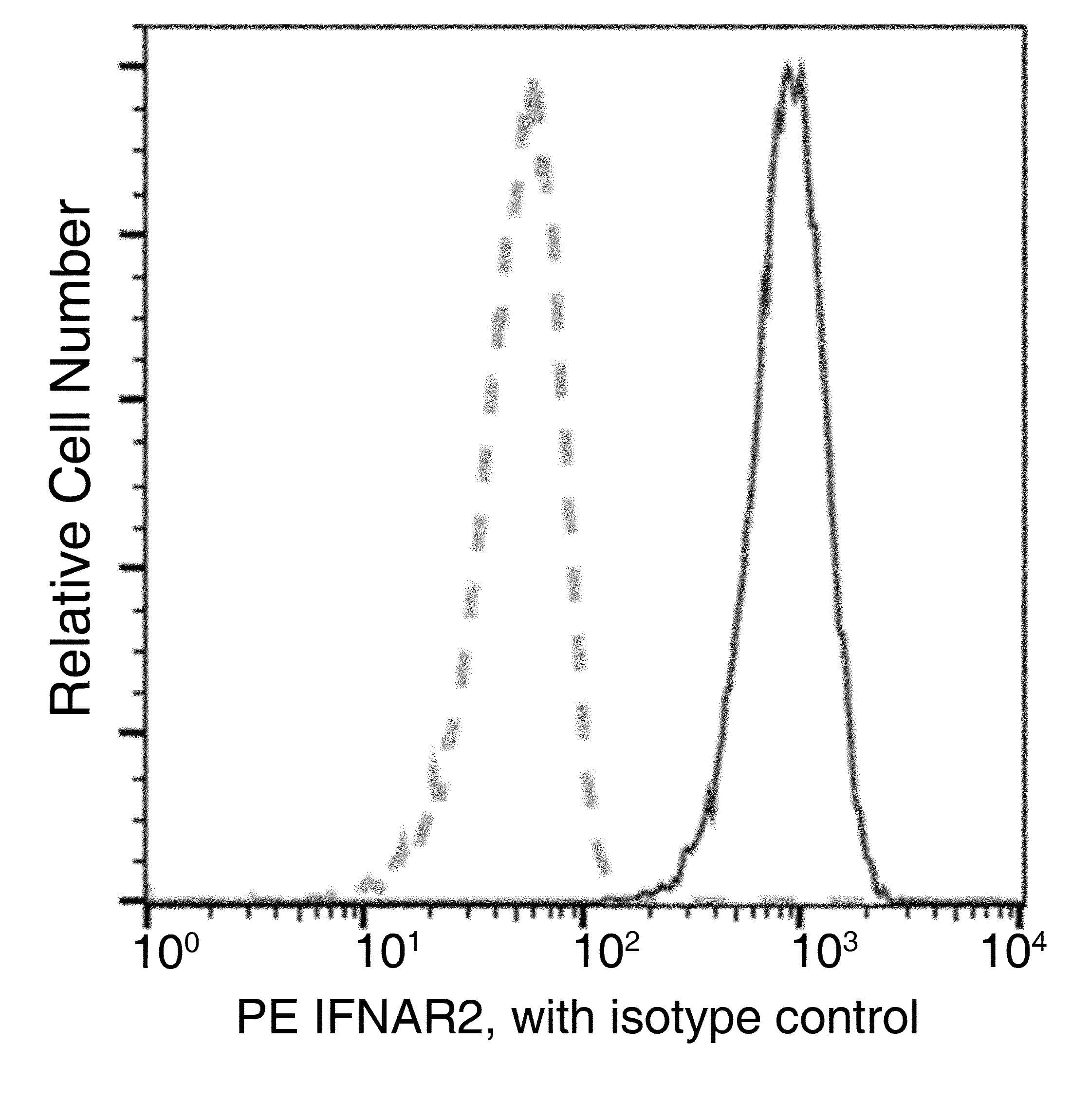 IFNAR2 Antibody (clone 122, PE)