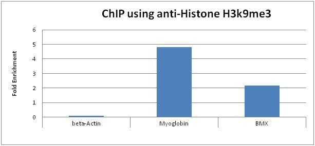 Histone H3 Antibody (Tri-Methyl-Lys9, clone 6F12-H4, Biotin)