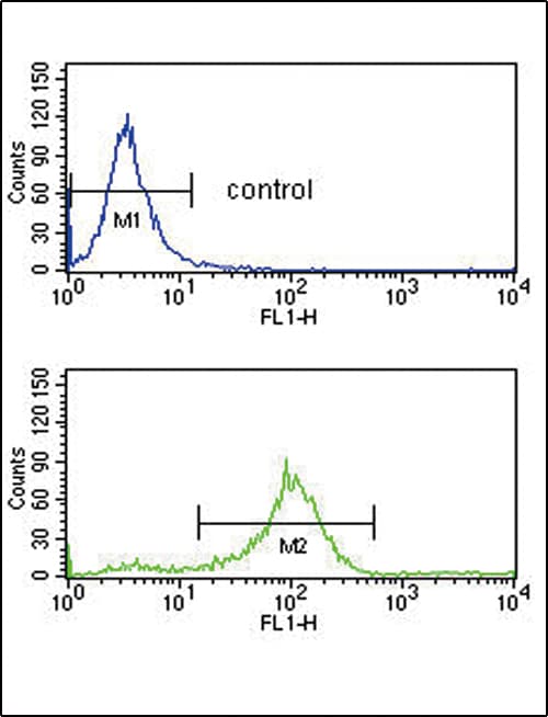 SFRP1 Antibody (aa26-55)