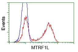 HMRF1L / MTRF1L Antibody (clone OTI1C8)