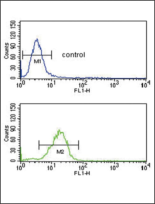 AGER / RAGE Antibody (aa24-52)